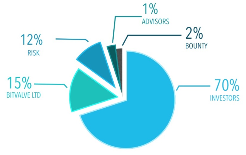 The allocation of BTV tokens